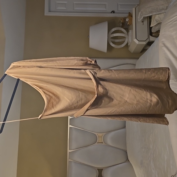 Banana Republic One-Shoulder Tan Dress - Picture 7 of 14